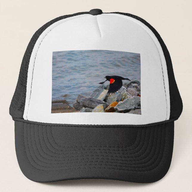 Red Winged Blackbird - hat (Front)