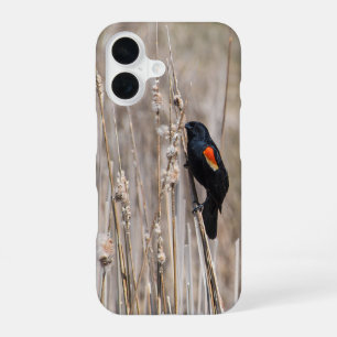 Red-winged Blackbird iPhone 16 Case