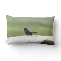 Red-winged Blackbird