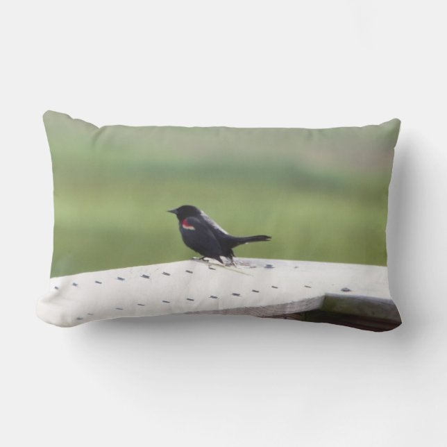 Red-winged Blackbird Lumbar Cushion (Front)