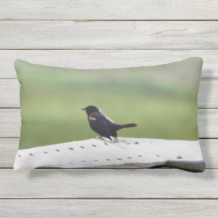 Red-winged Blackbird Lumbar Cushion