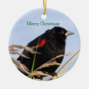 Red-winged Blackbird Ornament 