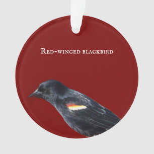 Red-winged Blackbird Ornament