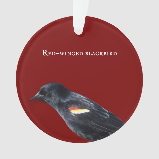 Red-winged Blackbird Ornament (Front)