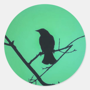 Red Winged Blackbird Silhouette in Green Classic Round Sticker