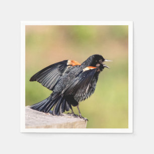 Red Winged Blackbird Singing Napkin