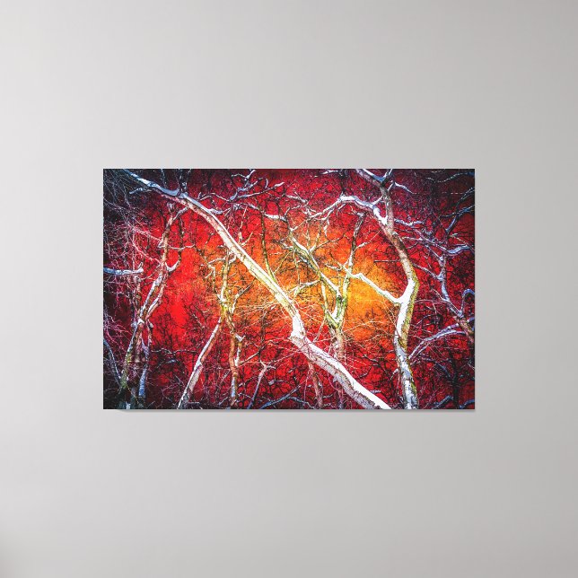Red winter night canvas print (Front)