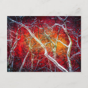 Red winter night postcard