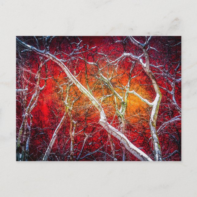 Red winter night postcard (Front)