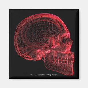 Red wireframe of a skull magnet