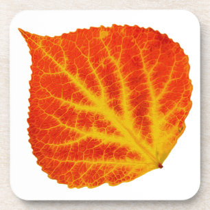 Red & Yellow Aspen Leaf #10 Coaster