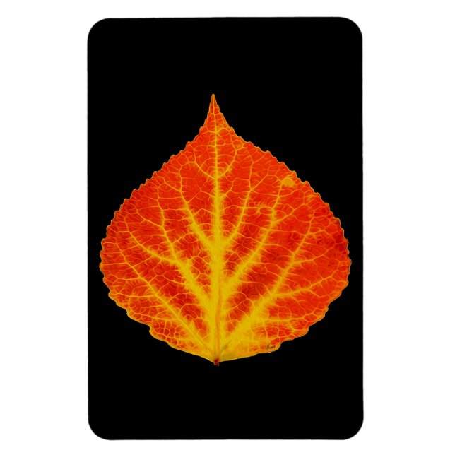 Red & Yellow Aspen Leaf #10 Magnet (Vertical)
