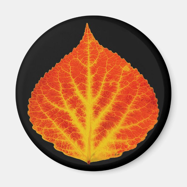 Red & Yellow Aspen Leaf #10 Magnet (Front)