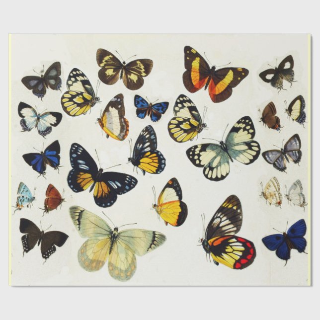 RED YELLOW BLUE WHITE BUTTERFLIES Beauty Nature Wrapping Paper (Flat)