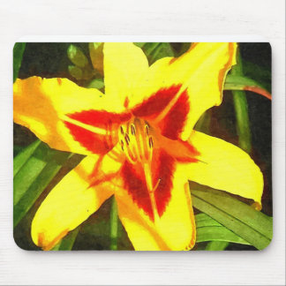 Red & Yellow Daylily Flower Mousepad