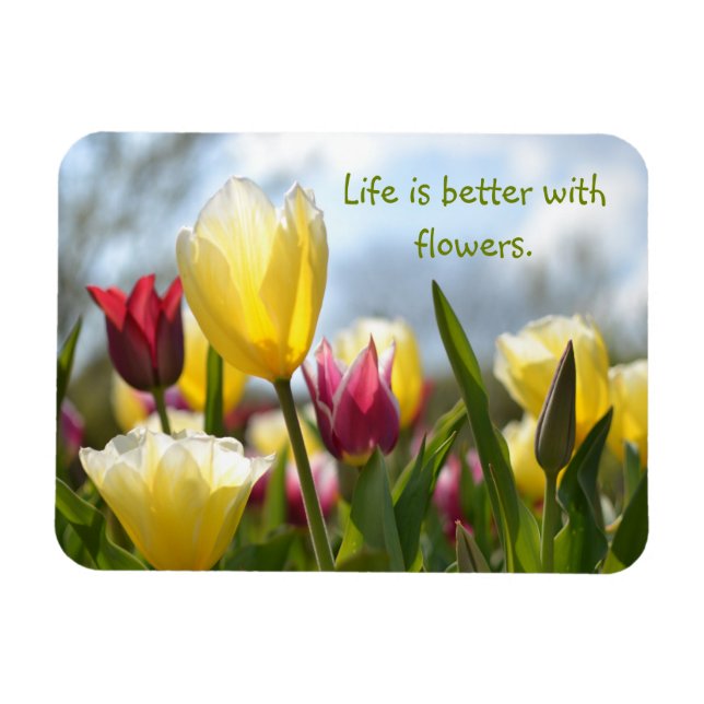 Red, Yellow & Pink Tulips in the Sun Motivational Magnet (Horizontal)