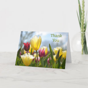Red, Yellow & Pink Tulips in the Sun Thank You Card