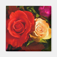 Red Yellow Rose Magnet - Customisable