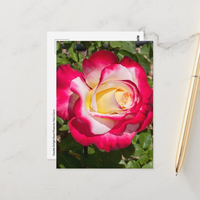 Red & Yellow Rose Postcard (Front/Back In Situ)