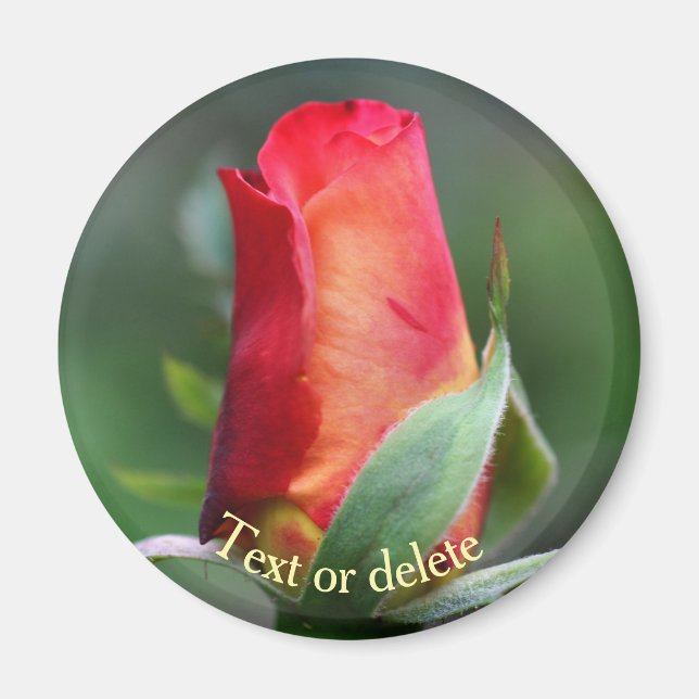 Red Yellow Rosebud Flower Personalized Magnet (Front)