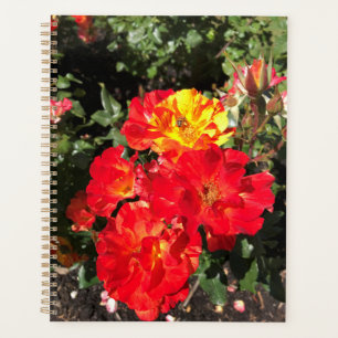 Red & Yellow Roses, Portland, Oregon Planner