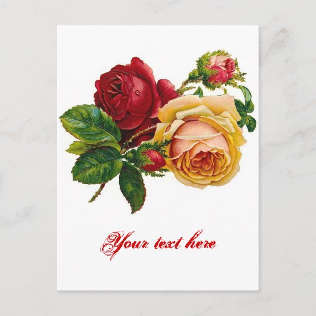 Red & Yellow Roses Postcard (Front)