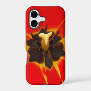 red yellow tulip