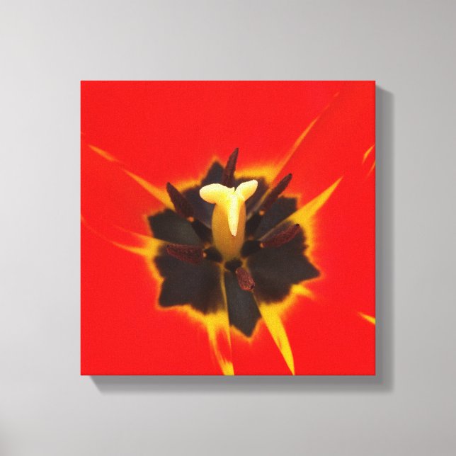 red yellow tulip canvas print (Front)