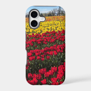 Red & Yellow Tulip Field