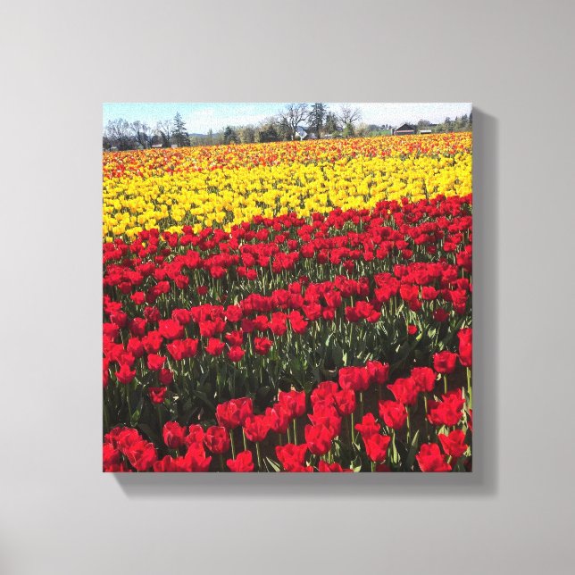 Red & Yellow Tulip Field Canvas Print (Front)