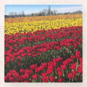 Red & Yellow Tulip Field Glass Coaster