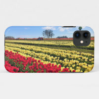 Red & Yellow Tulip Field with Hot Air Balloon
