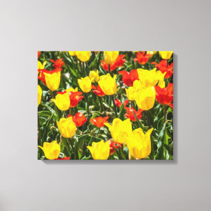 Red & Yellow Tulips Canvas Print