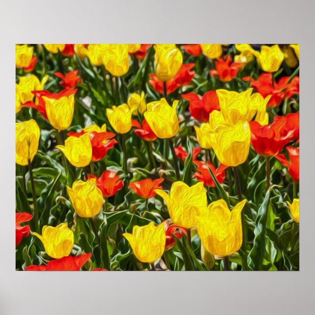 Red & Yellow Tulips Poster (Front)