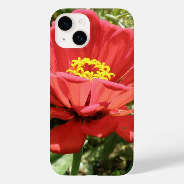 Red Zinnia iPhone 4 Case (Back)