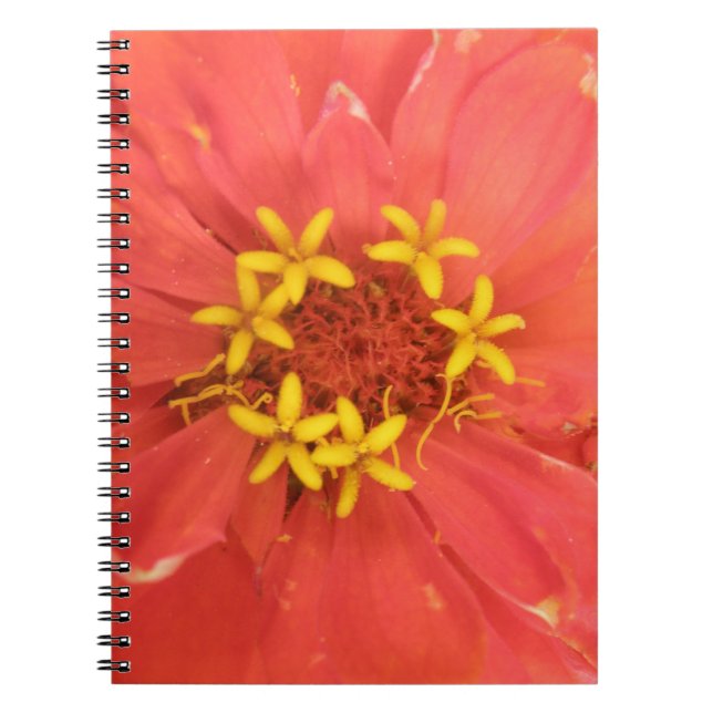 Red Zinnia Macro Notebook (Front)