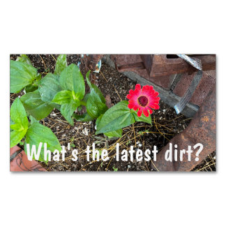 Red Zinnia with Rusty Objects Business Card