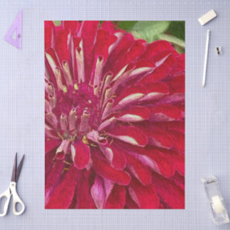 Red Zinnias Flowers Tissue Paper