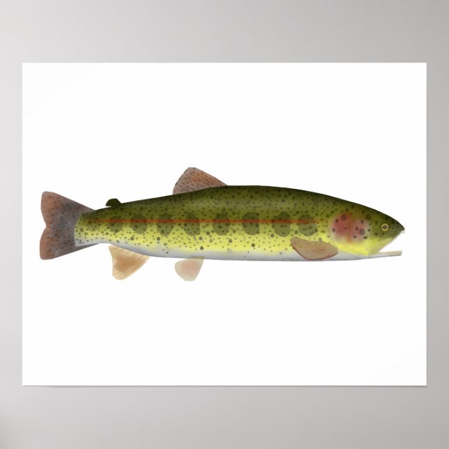 Redband Trout Poster (Front)