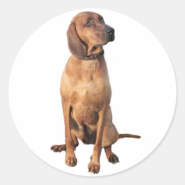 Redbone Coon Hound (A) Classic Round Sticker (Front)