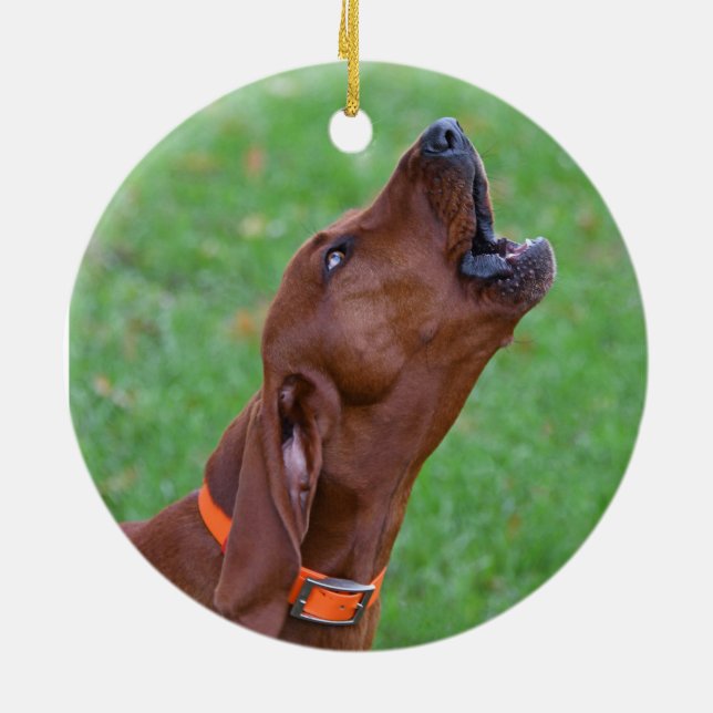 Redbone Coonhound Ceramic Tree Decoration (Back)
