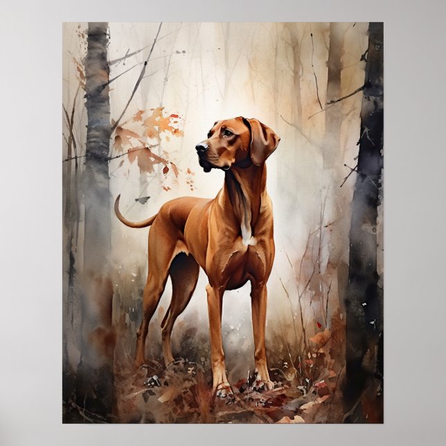 Redbone Coonhound Dog Art Print Poster (Front)