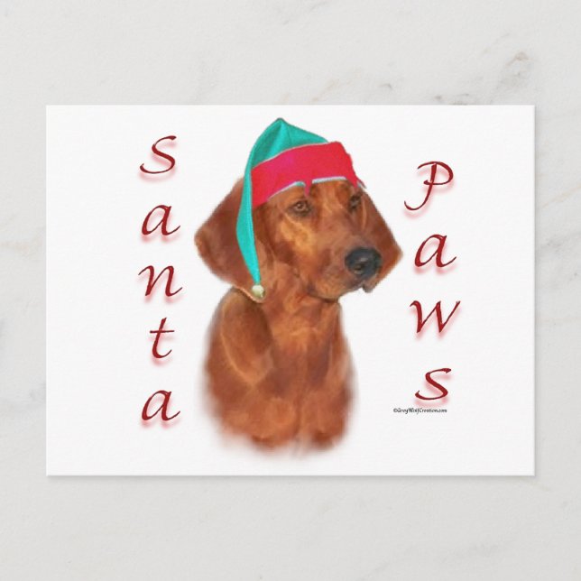 Redbone Coonhound Santa Paws Holiday Postcard (Front)