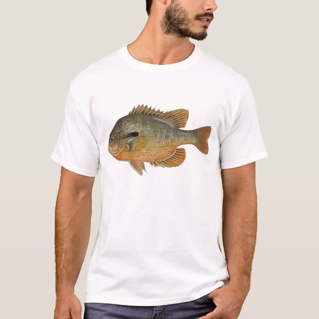 Redbreast Sunfish - Lepomis auritus T-Shirt (Front)