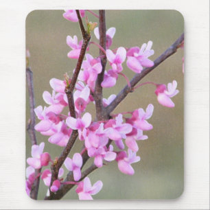 Redbud Bloom Mouse Pad
