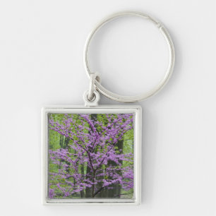 Redbud trees in full spring bloom near Defiance Key Ring