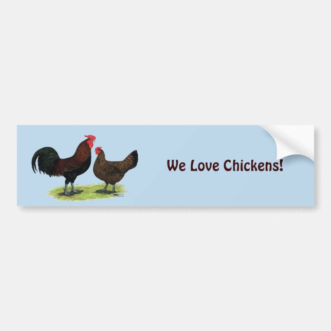 Redcap Chickens Bumper Sticker (Front)