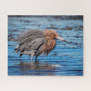Reddish Egret on North Beach Jigsaw Puzzle