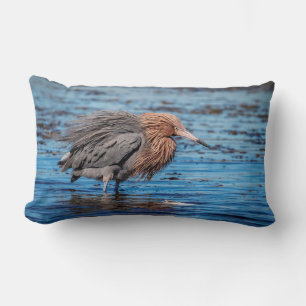 Reddish Egret on North Beach Lumbar Cushion