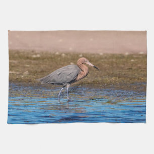 Reddish Egret on North Beach Tea Towel